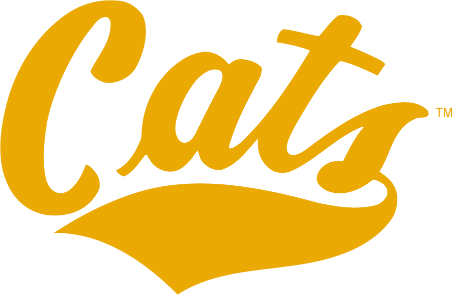 Montana State Bobcats 2006-2013 Wordmark Logo DIY iron on transfer (heat transfer)